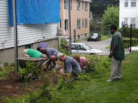 cleanup day, Cambria Road